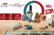 Caștiga tablete Apple iPad 11 sau seturi cu produse Purina One Cat-copie